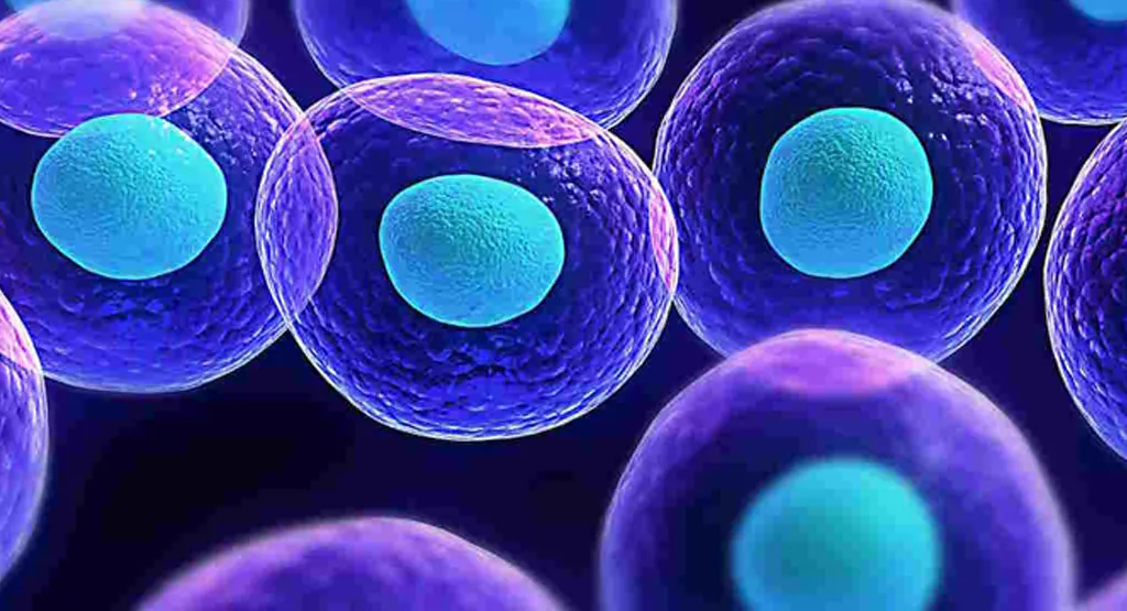 nutricion celular Monterrey